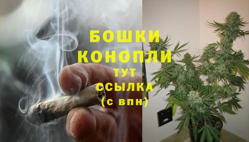 MEGA tor  Чишмы  Марихуана OG Kush 